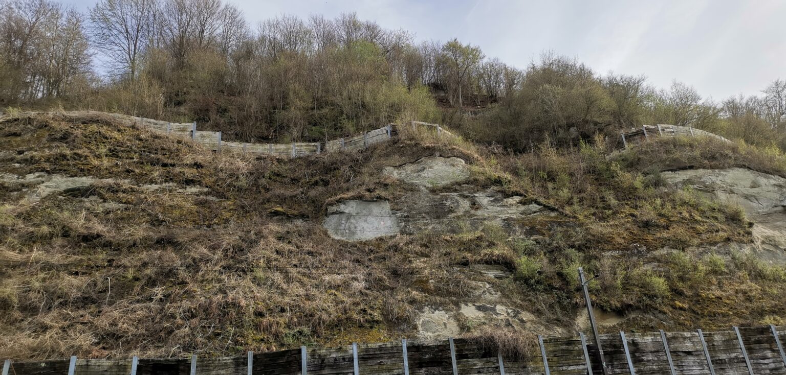 Ref_SpezVerm_WeisserFelsen_3